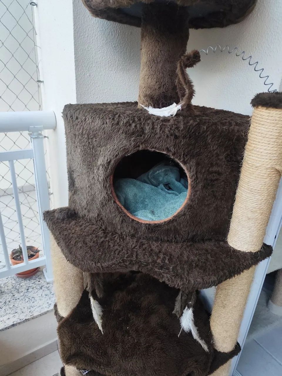 Arranhador Gatos marrom grande 64169212650243121