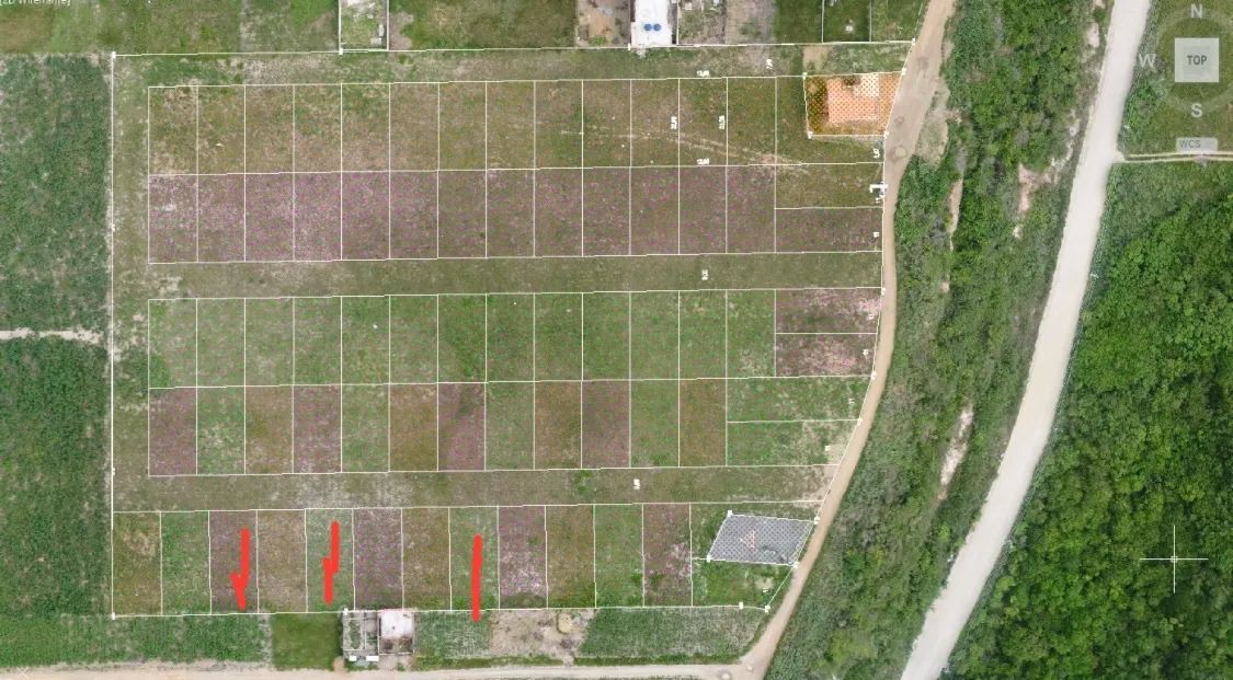 Loteamento Lagoa Dantas - Lotes Amplos com Preço Acessível