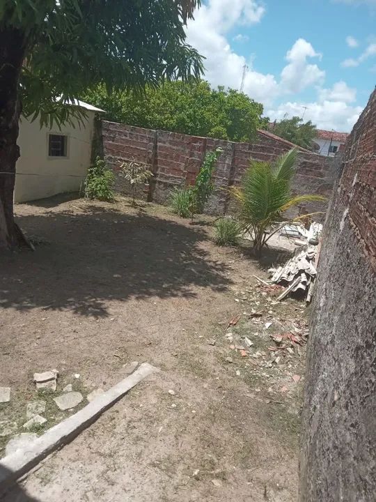 Limpeza Na Roçadeira  - Foto 2