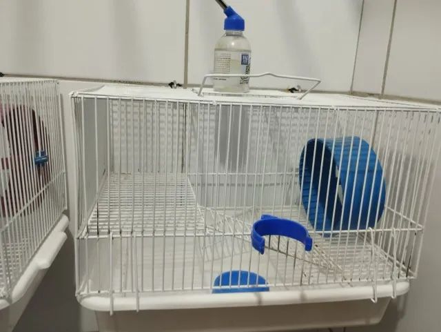 GAIOLAS PARA HAMSTERS - Foto 3