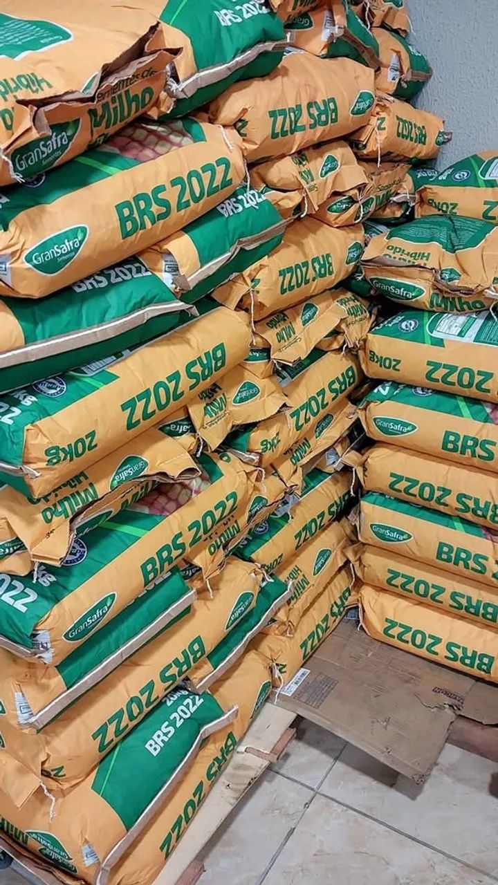 Semente de Milho BRS2022 para silagem 20kg Gransafra(Novo) - Foto 3