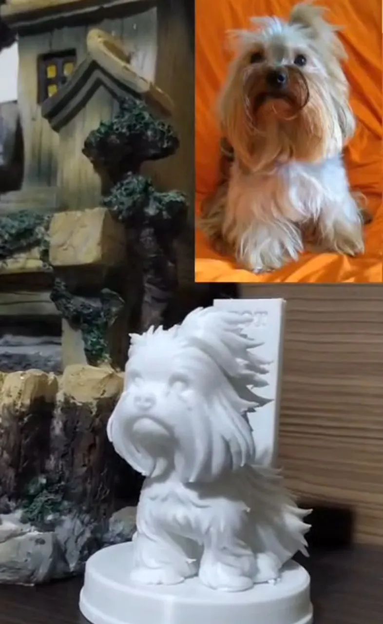 Pet Personalizado 3D - Foto 2