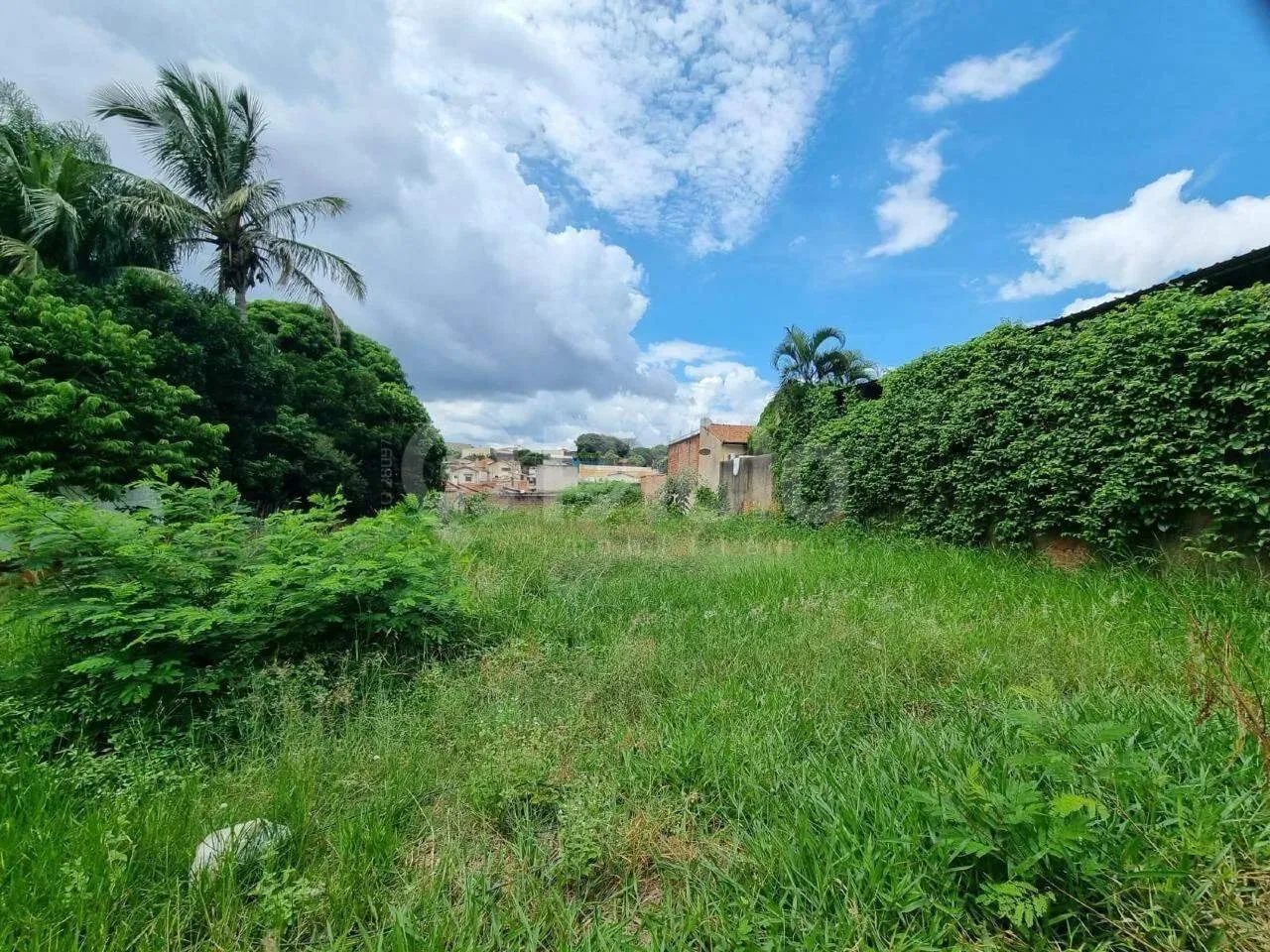 Terreno à Venda Paulicéia - Piracicaba - SP - Foto 4