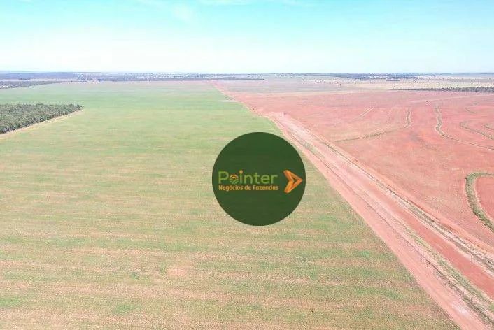 Fazenda à venda, por R$ 243.000.000 - Zona Rural - Cassilândia/MS - Foto 2