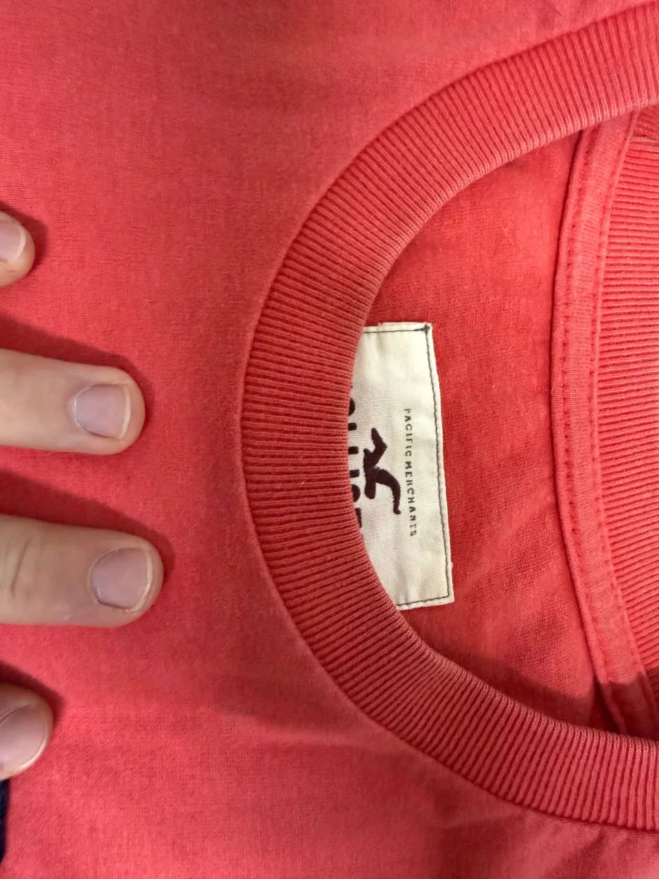Camiseta hollister  - Foto 3