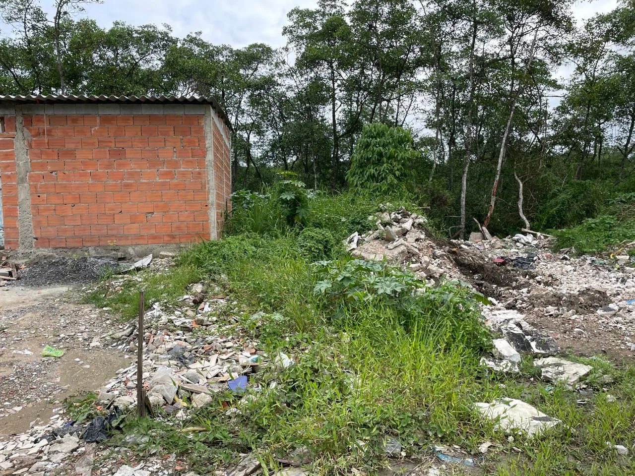 Terreno no quarentenário  - Foto 2