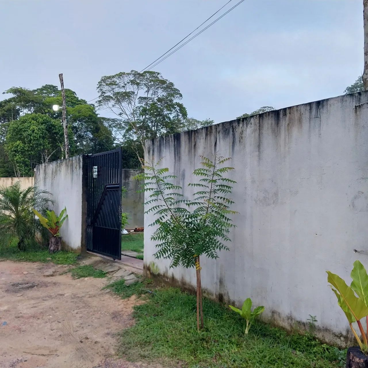 Foto - Manaus - Tarumã-Açu