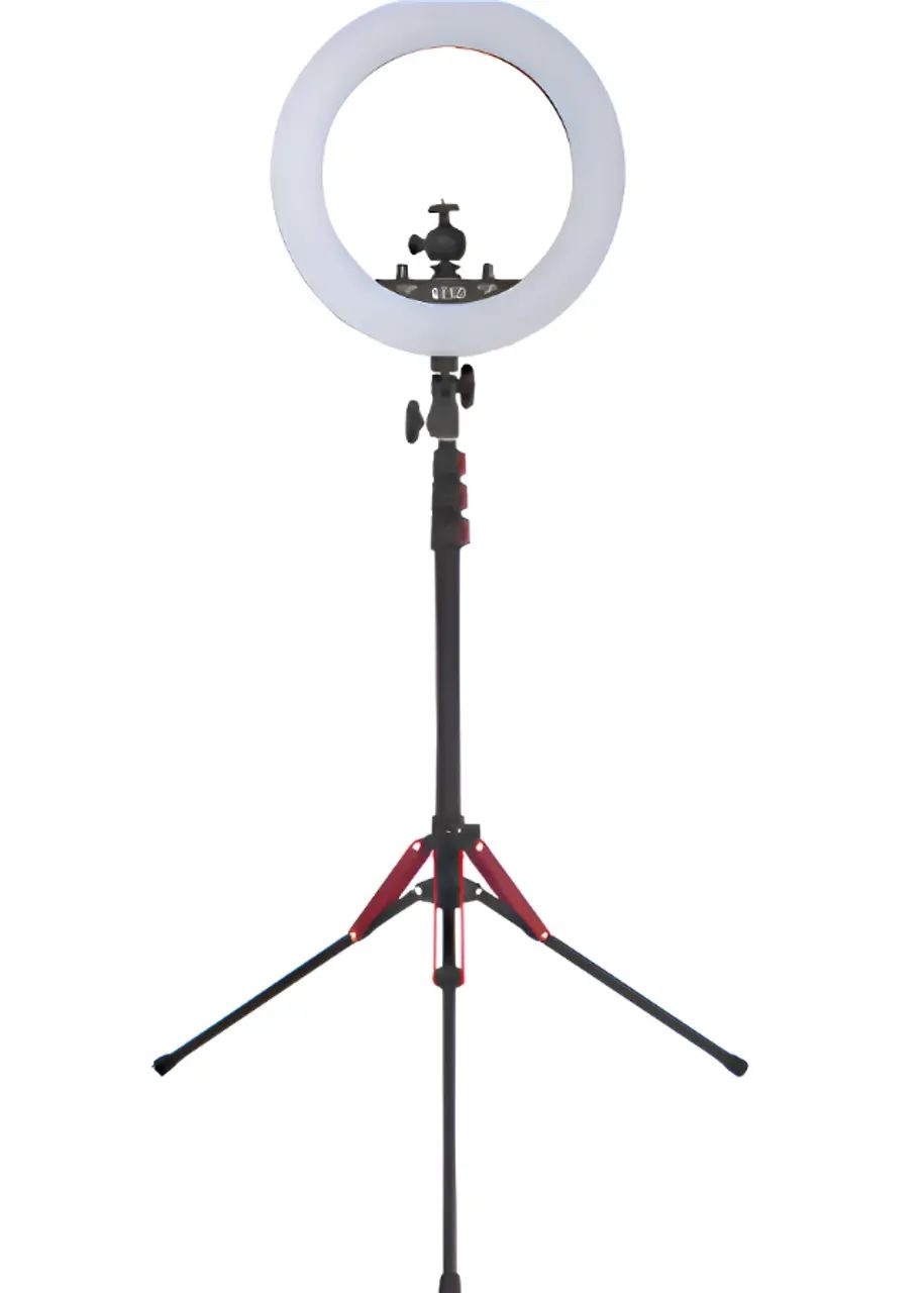 Iluminador Ring Light Qzsd 14 + Tripé+ Carreg+ 2 F970+ Fonte 127/220v Preto Branco-frio