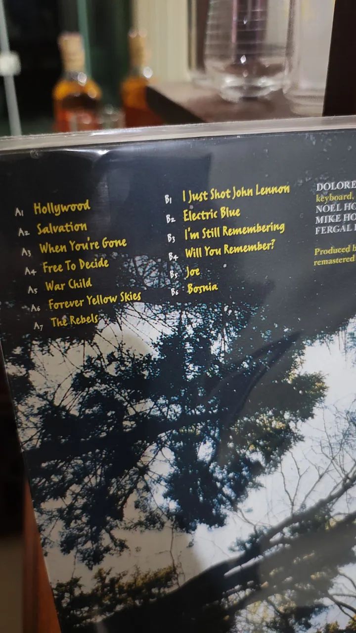 The Cranberries vinil  importado - Foto 2