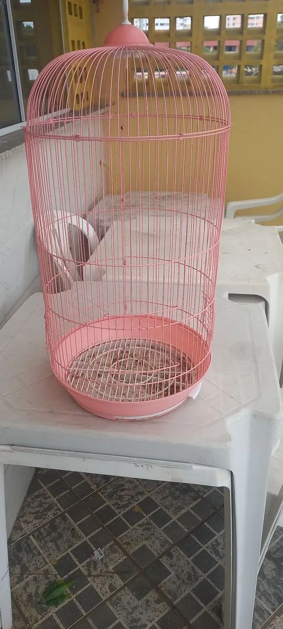 Gaiola rosa para Calopsita  