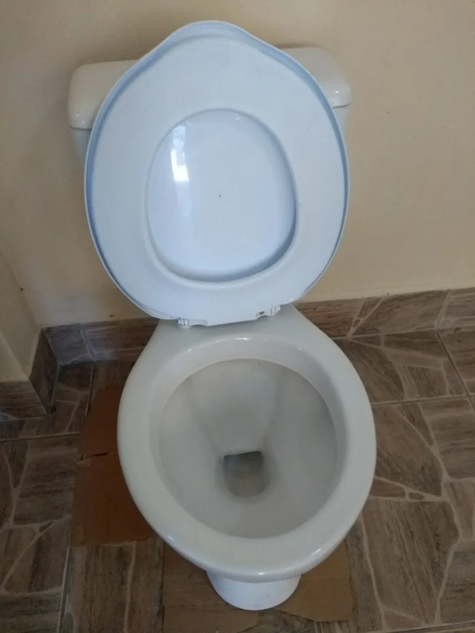 Vaso sanitário com caixa acoplada e assento.