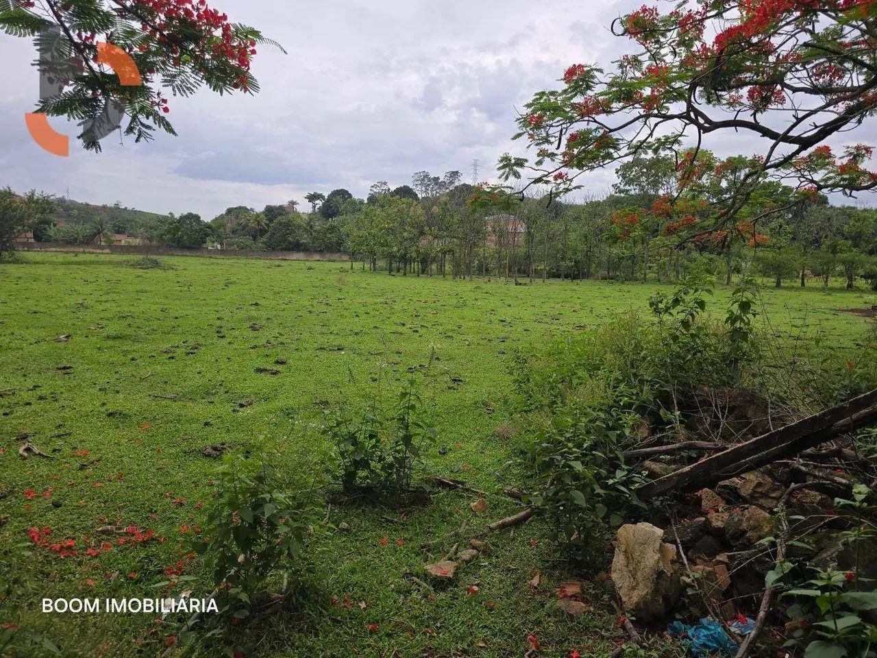 Sítio com 1 dormitório à venda, 36480 m² por R$ 3.000.000,00 - Santa Rosa - Queimados/RJ - Foto 10