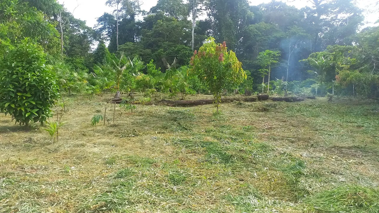Vende se um terreno na margem do Rio Amapari da Serra do Navio/Comunidade Pedra Preta