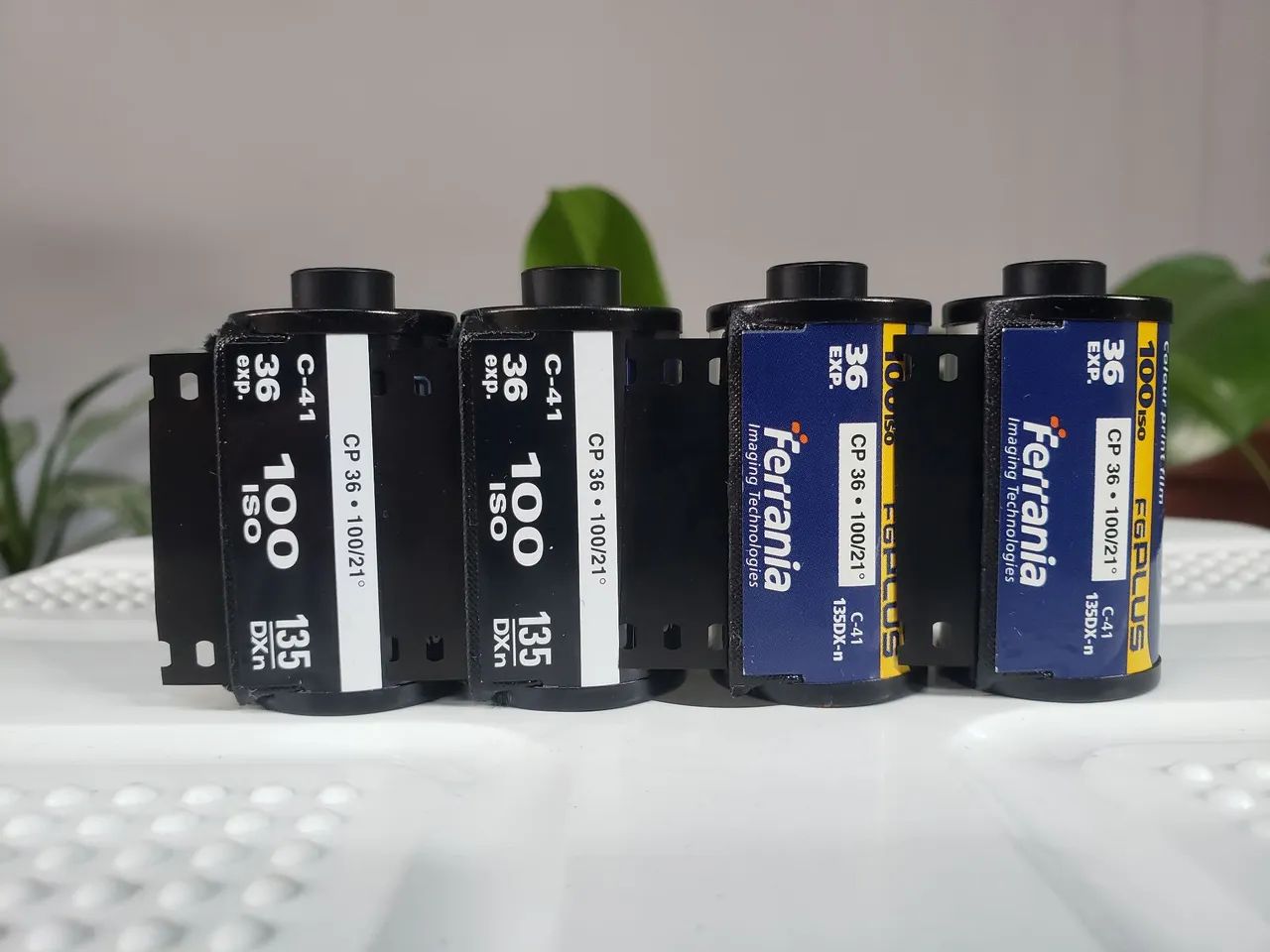 Filme Fotografico Rebobinado
