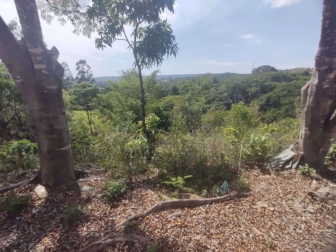 Sítio com rio e natureza exuberante - Foto 10