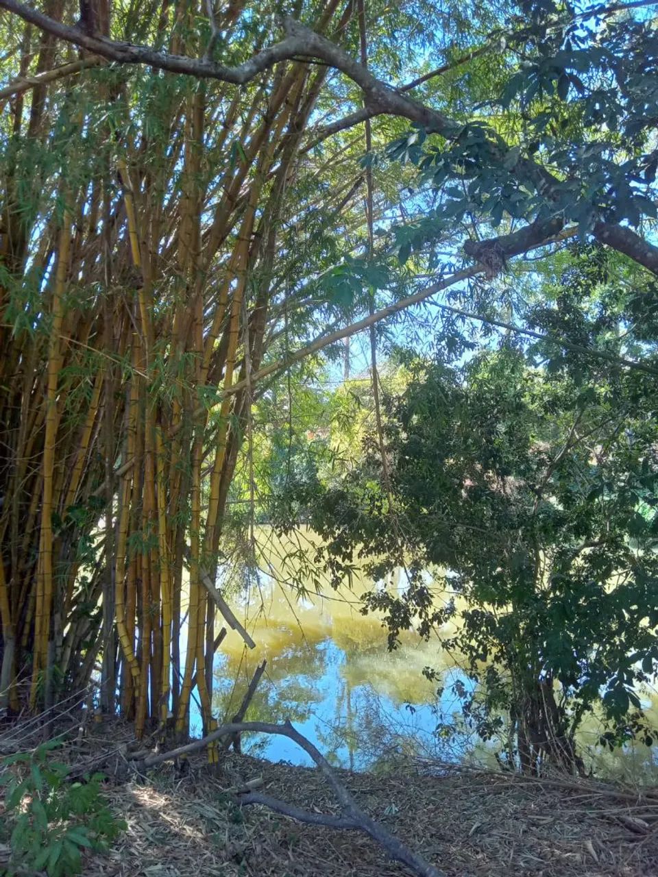 Chacara 5 min de Bom Jesus  - Foto 4