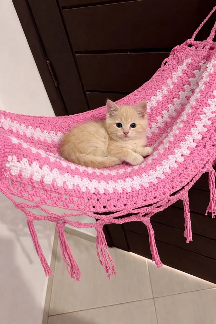 Rede para cão /gato pequeno porte - Foto 3