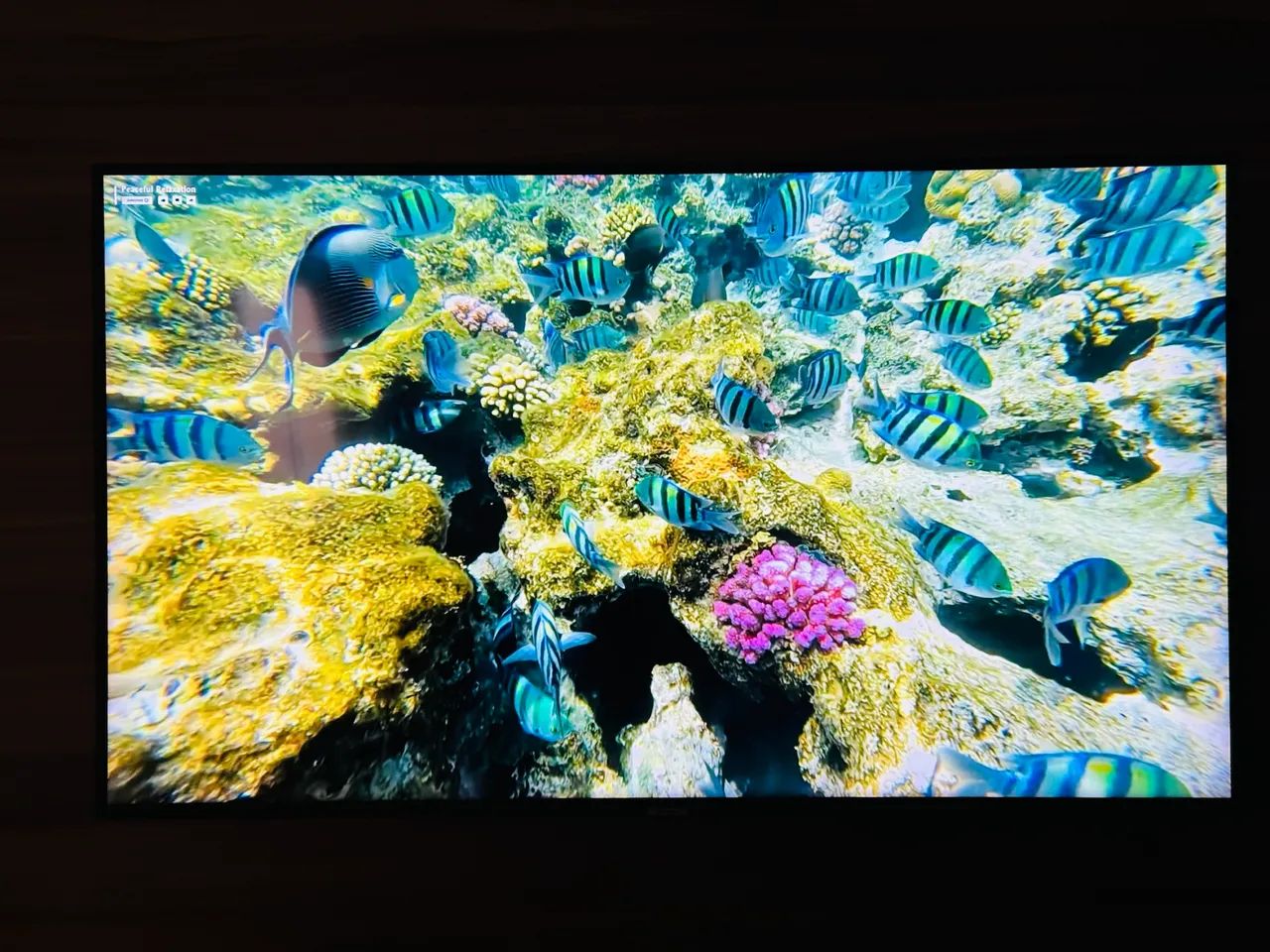 SmartTV Samsung 4k - 55? - Foto 4