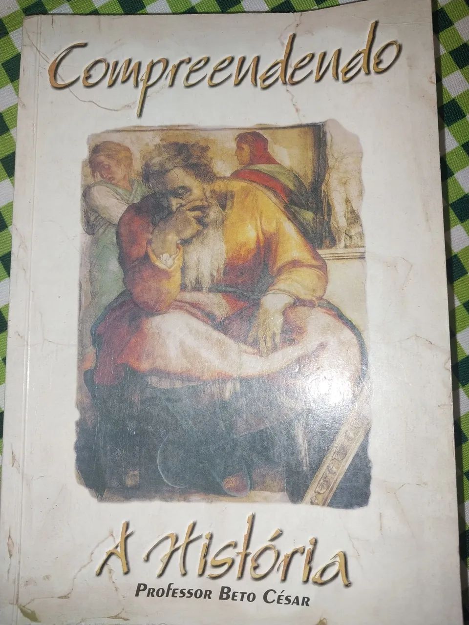 Livro Compreendendo a História 