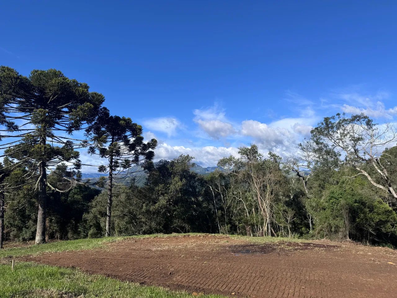 Oportunidade Única! Sítio 2 Hectares, 2km do centro. - Foto 2