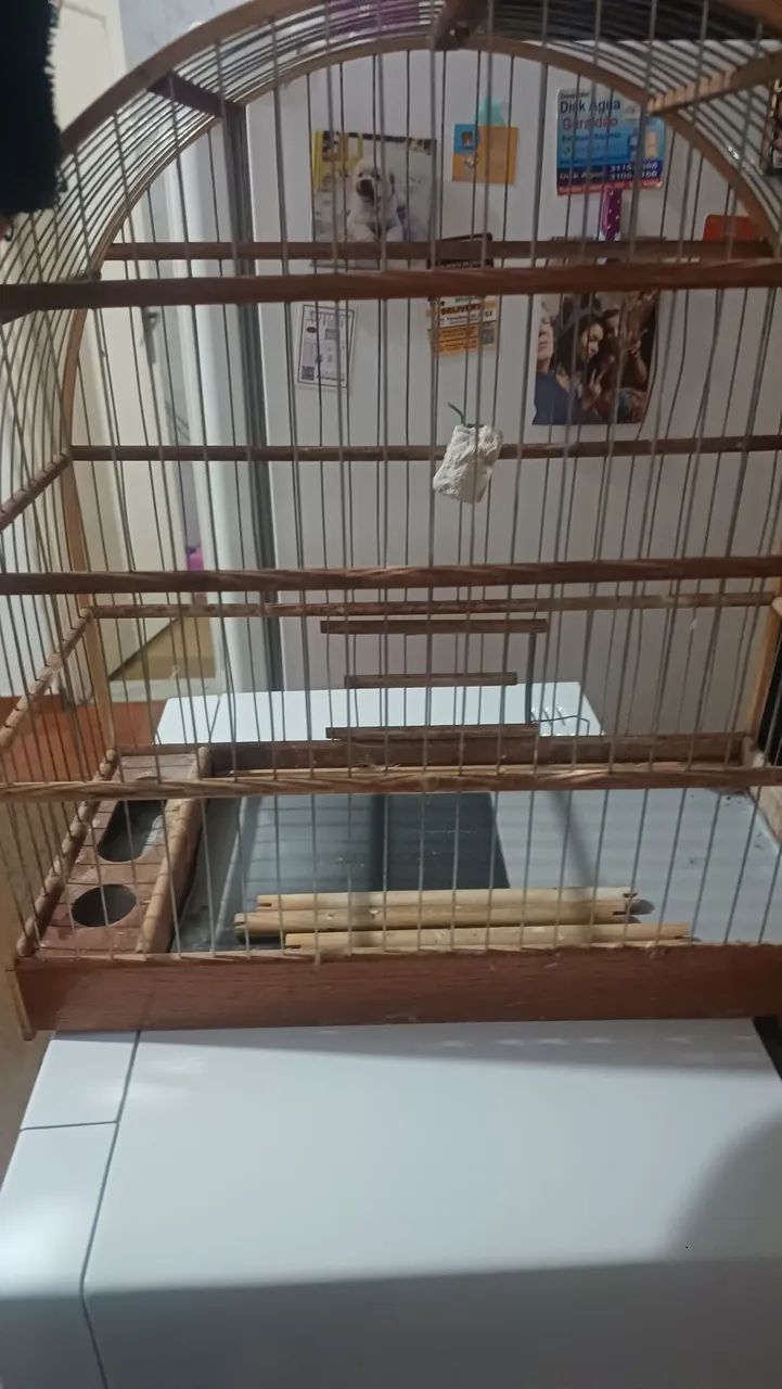 Doação de gaiola - Foto 2