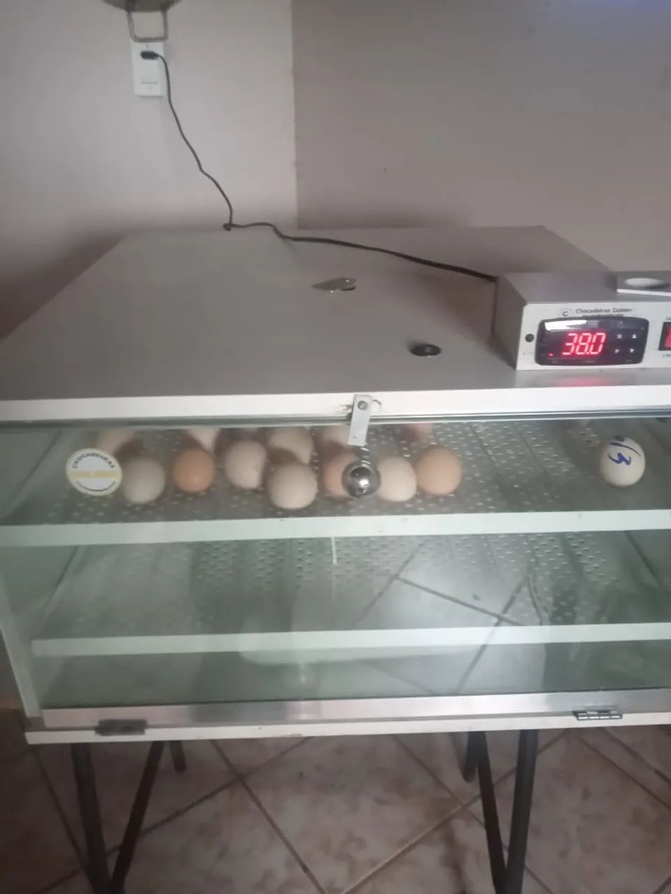 Vendo chocadeira automática 260 ovos 