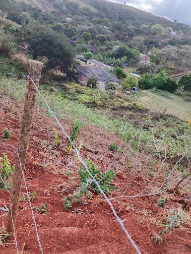 Lote barato em Igarape - Foto 5