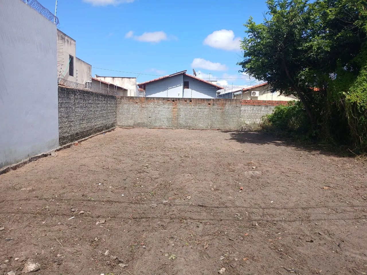 Serviço de jardinagem, plantio mudas e limpeza de lotes - Foto 2