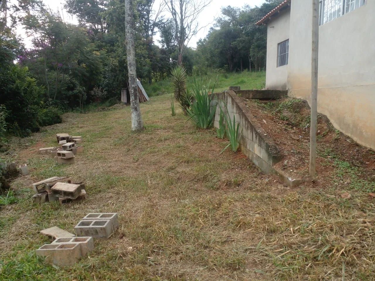 SÍTIO EM RIO MANSO - Foto 5