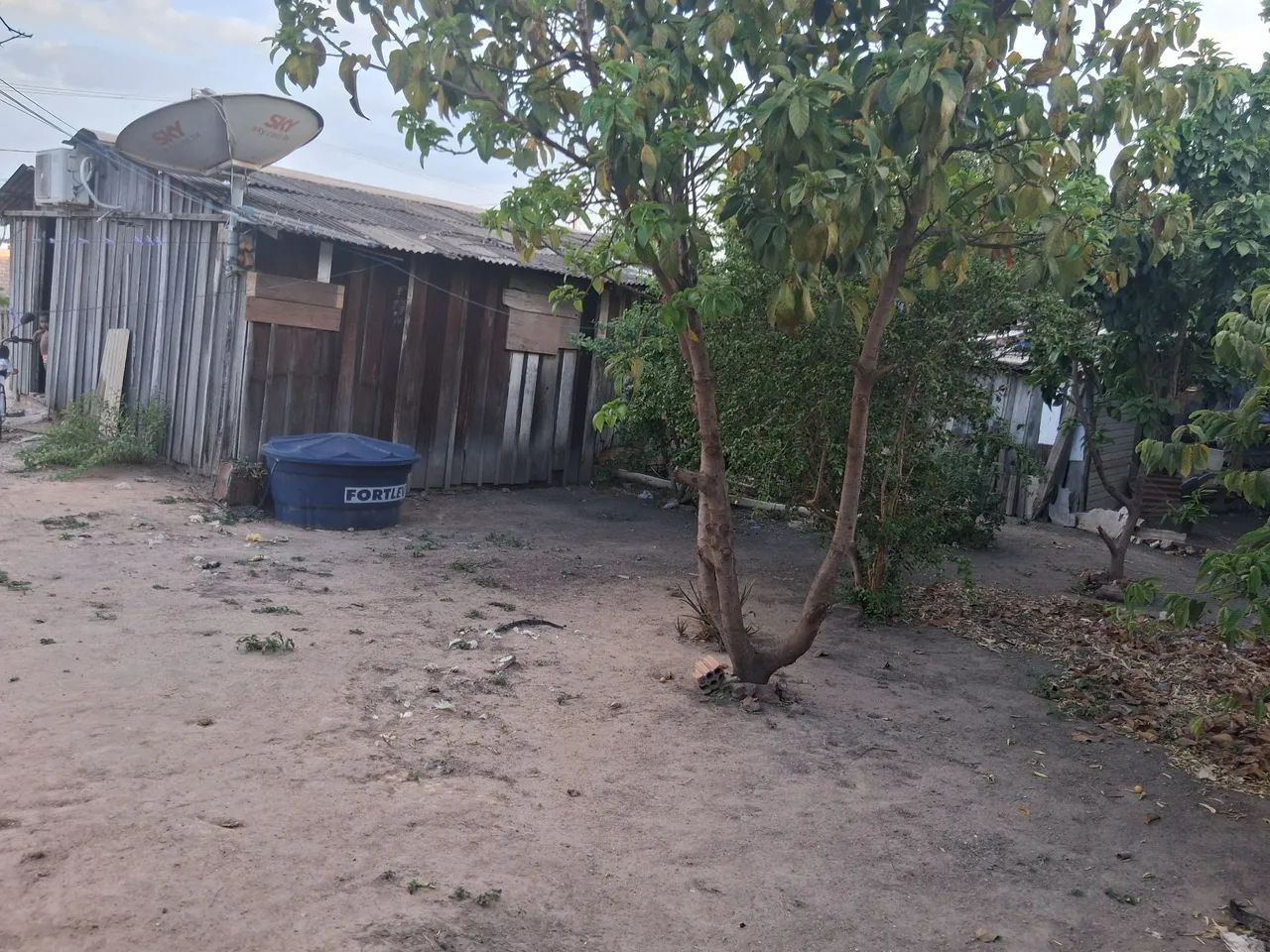 A conversa  - Foto 2