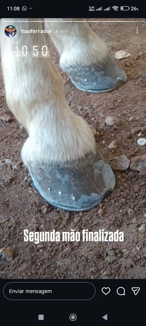 VENDER HOJE URGENTE Égua Manga Larga - Foto 4