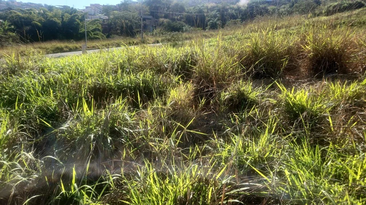 Excelente lote financiado em Ibirité  - Foto 3