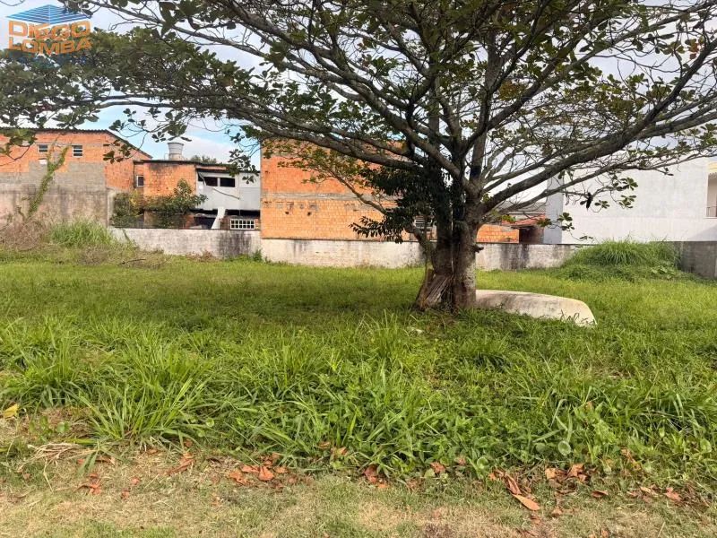 Terreno - Florianópolis SC - Foto 4