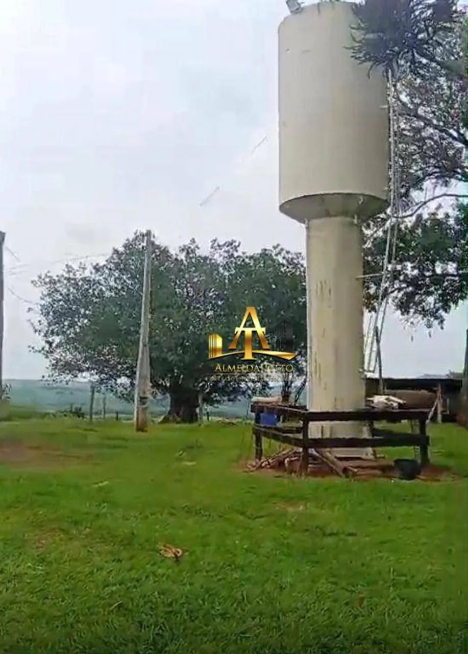 Fazenda à Venda em Coronel Macedo/SP - Foto 4