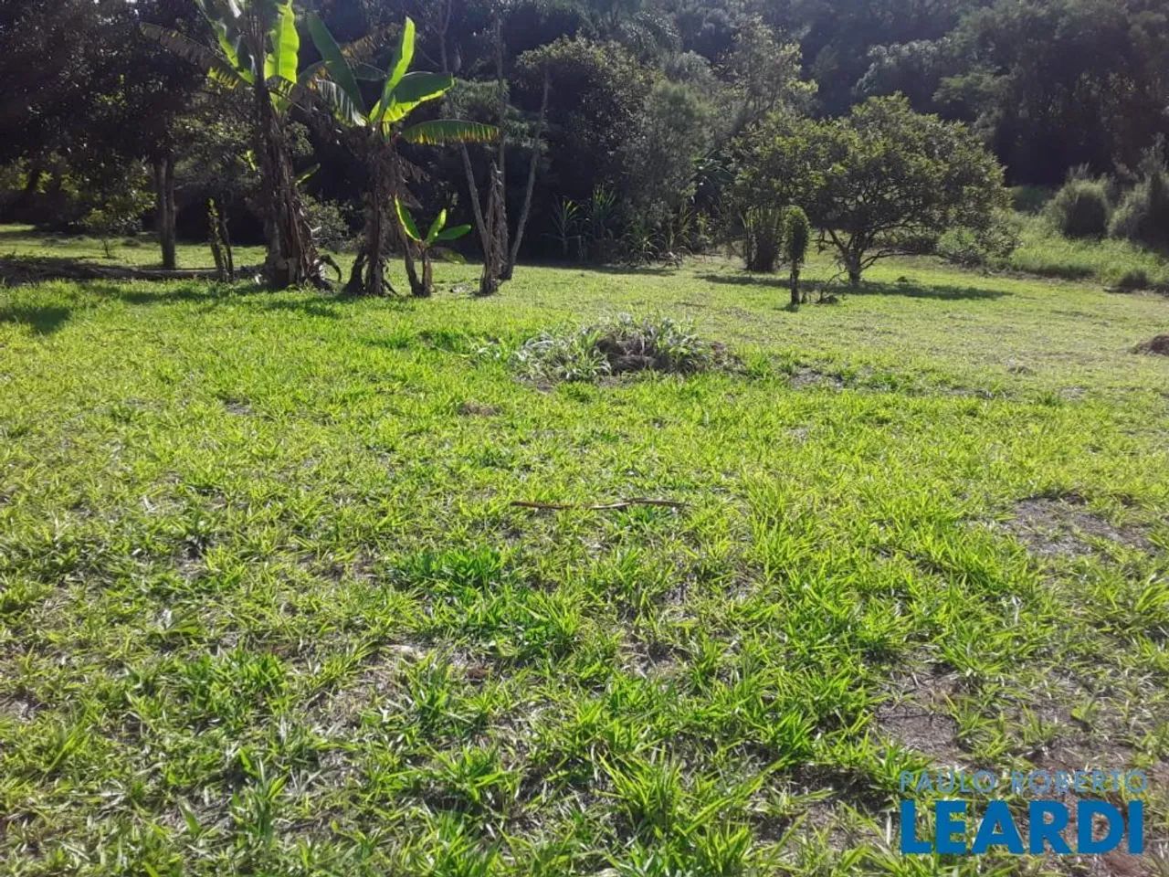 CHACARA - JARDIM ÍSIS - SP - Foto 11