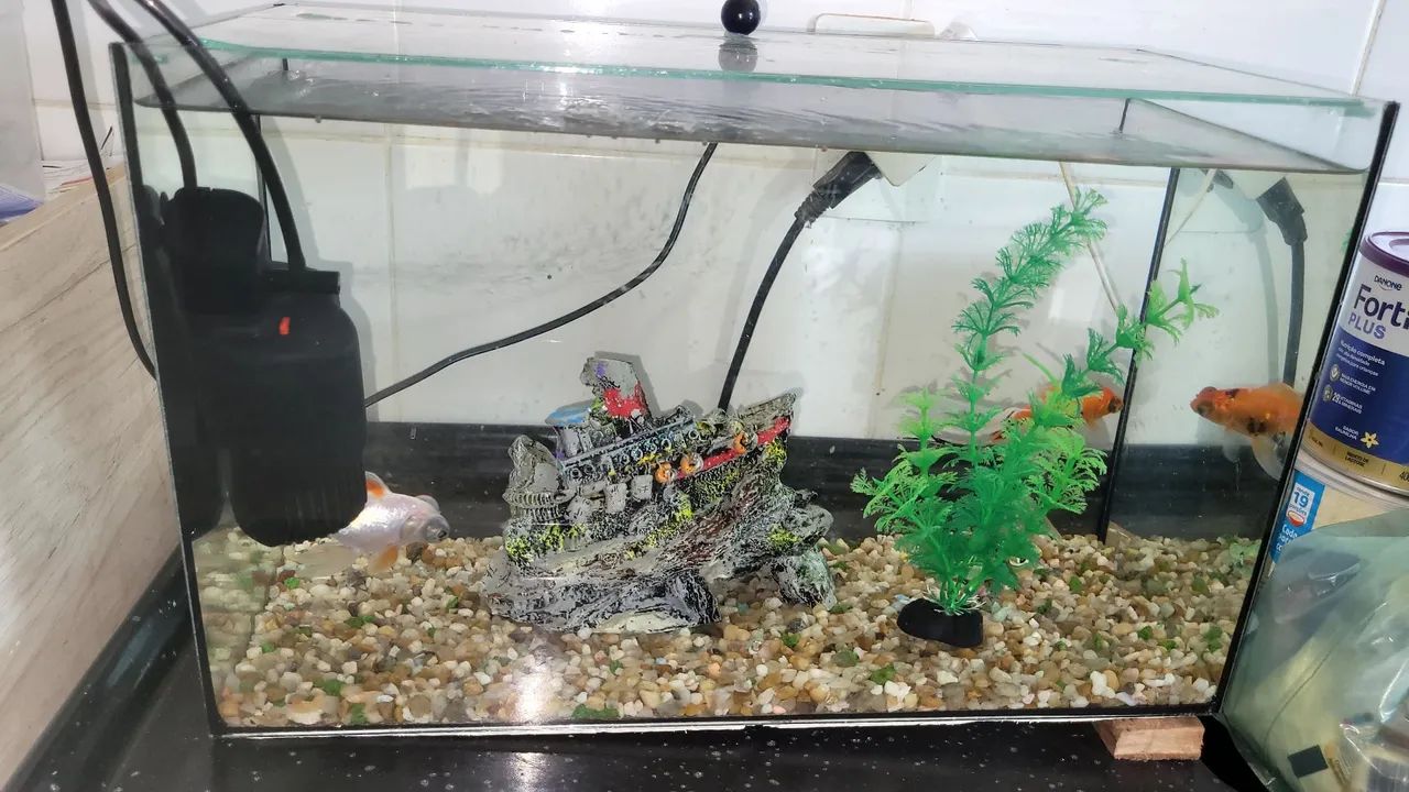 Aquário 50 litros e acessórios  - Foto 5