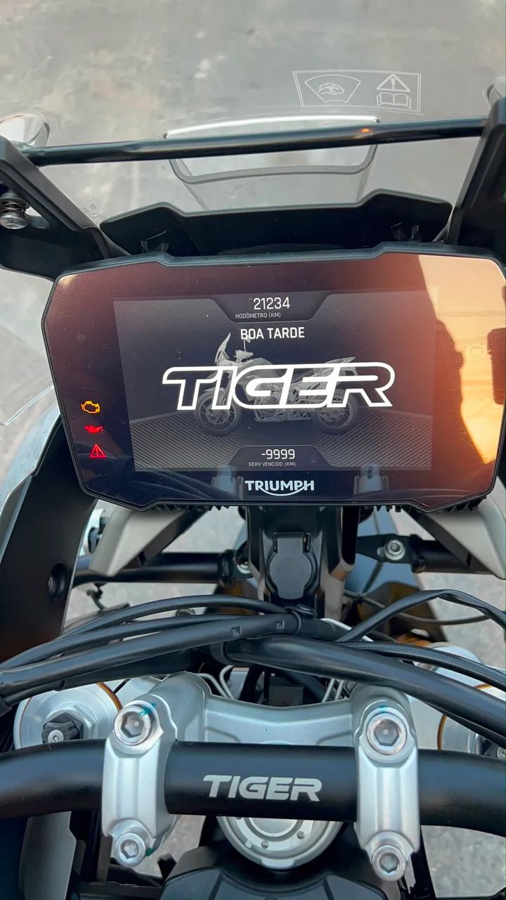 Tiger rally pro  - Foto 5