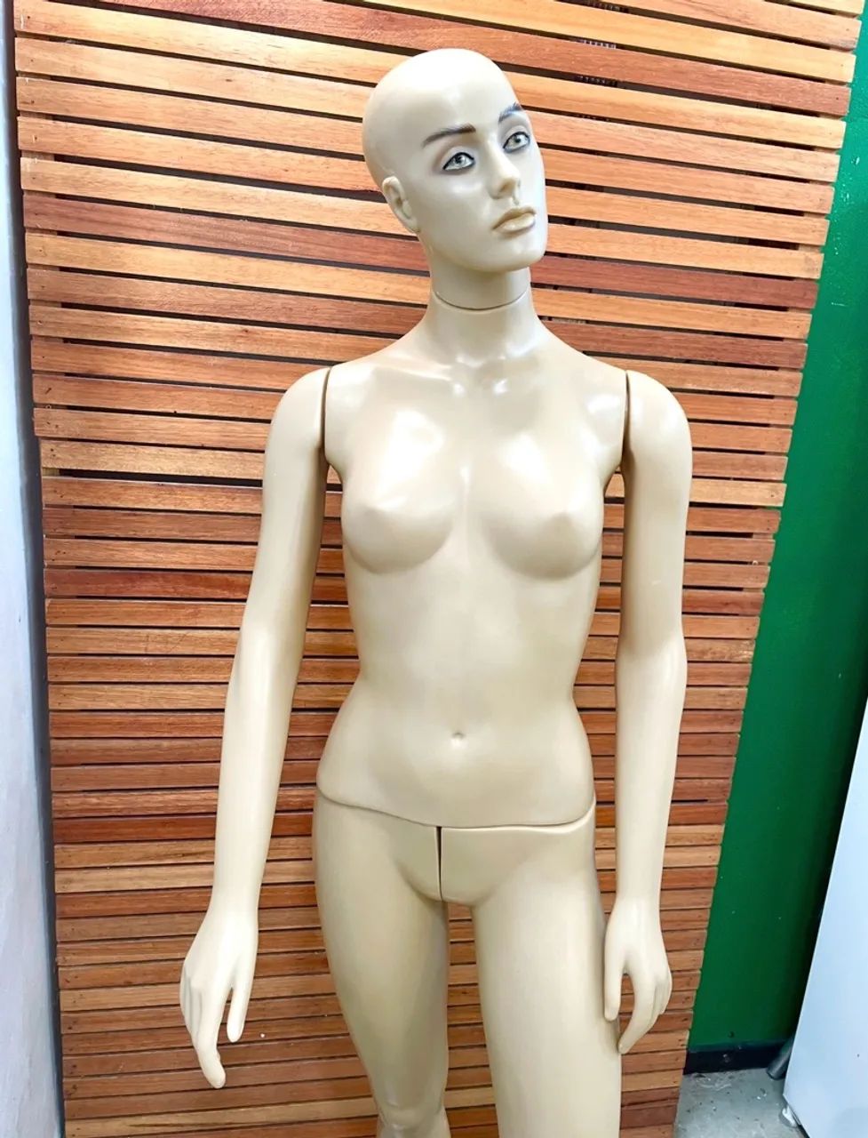 Manequim Feminino