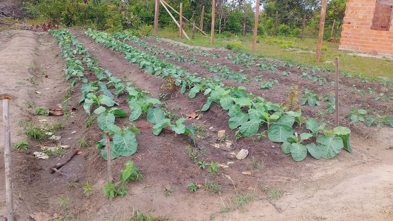 60 mil terreno top - Foto 2