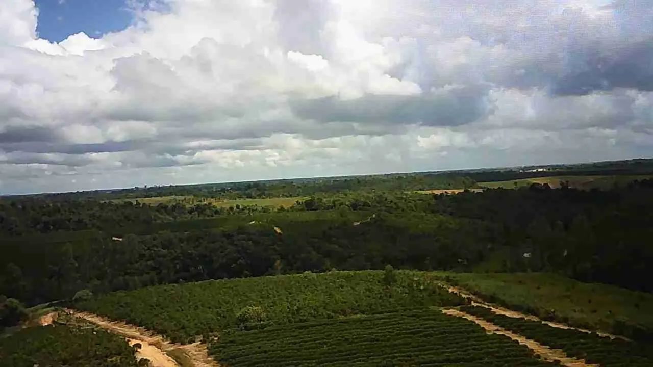 Fazenda com alta produção 