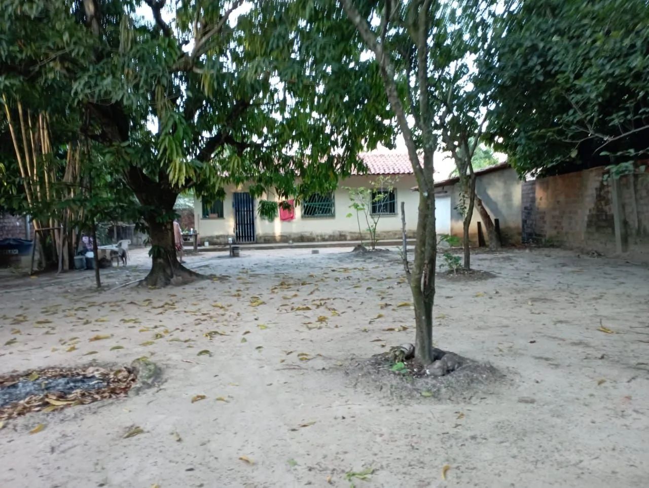 Vende sitio, casa sede todo arborizado - Foto 3