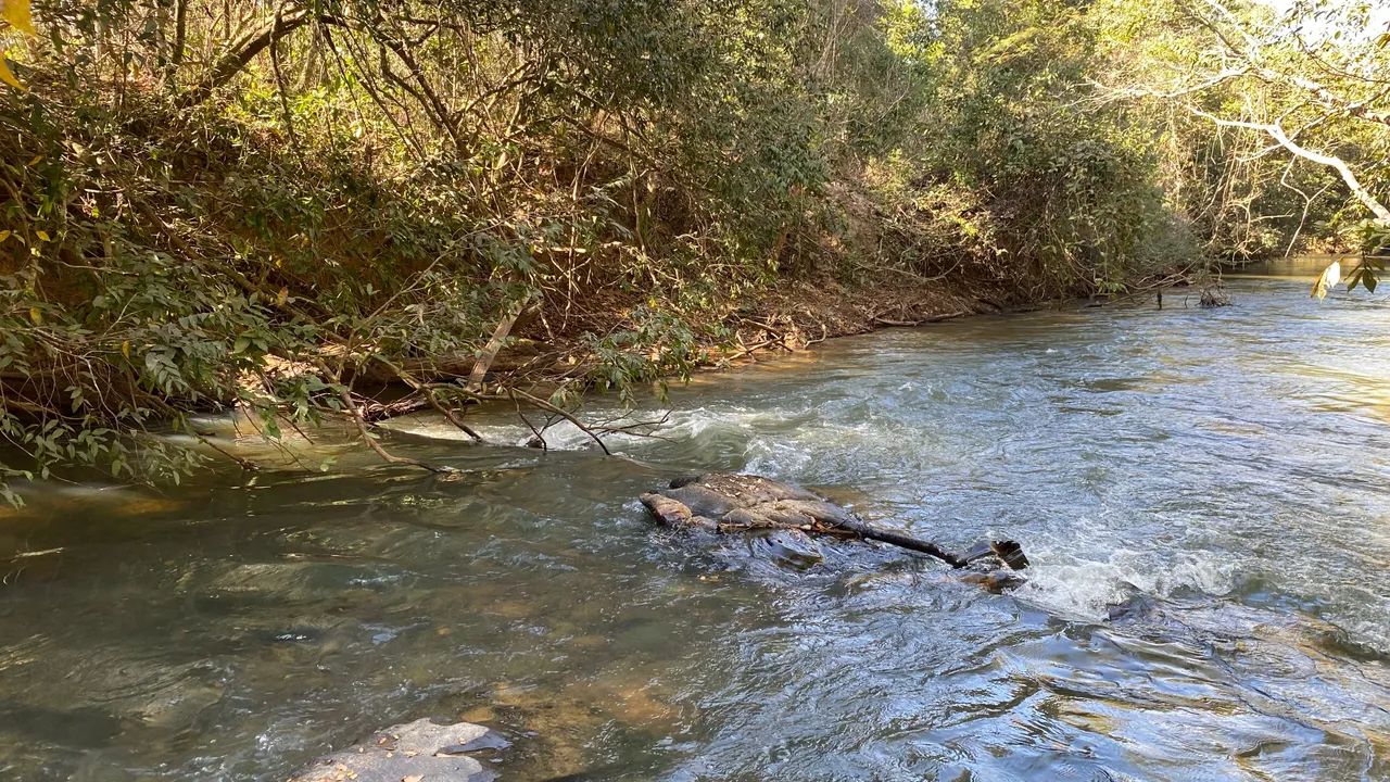 Chácara de 20mil mt. Com rio passa 4 cercadas e com energia! - Foto 5