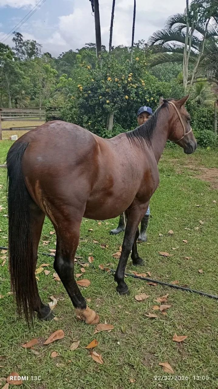 Vendo ou negocio - Foto 3