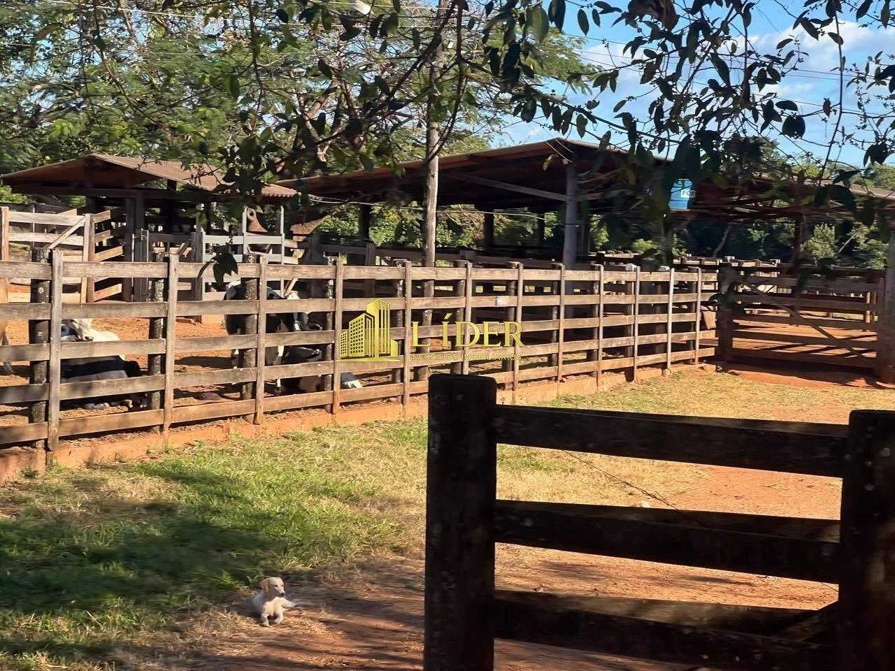 Fazenda à venda, AREA RURAL DE ARAGUARI - Araguari/MG - Foto 10