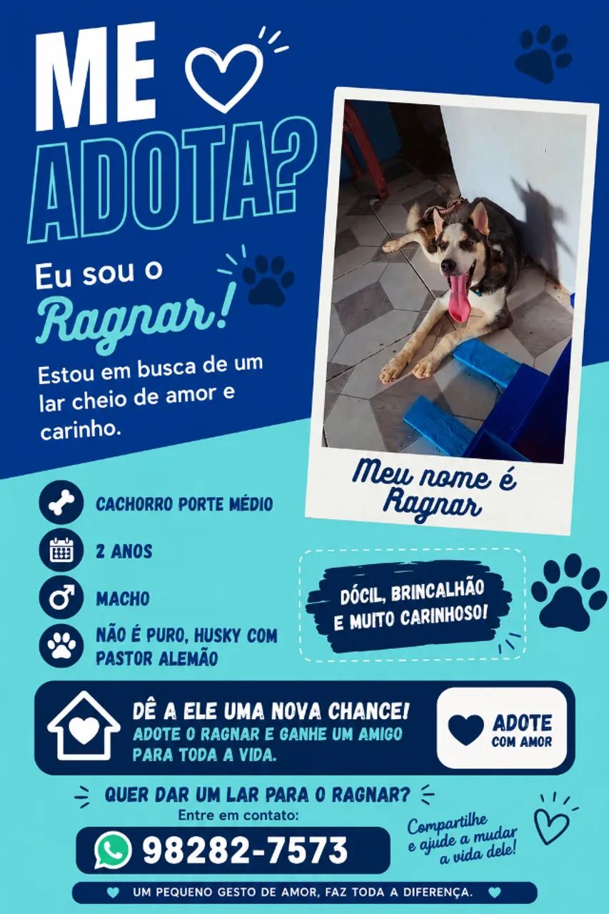 Doação 