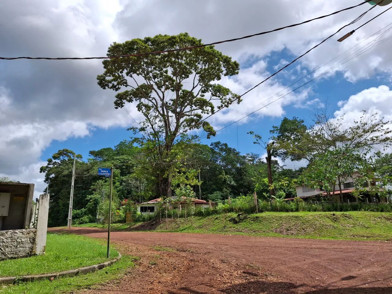 VENDO LOTE COND RURAL AMAZONFLORA- BENEVIDES/PA - Foto 3