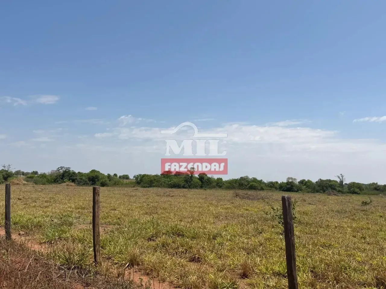 Fazenda 150 alqueires (726 hectares) Nova Crixas - Go - Foto 2