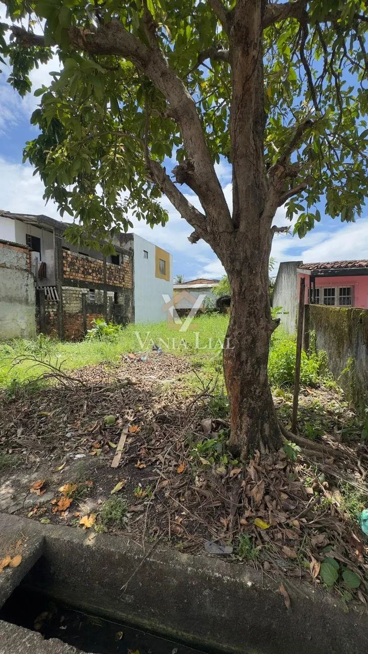 Terreno em Porto Grande - Salinópolis, PA - Foto 3