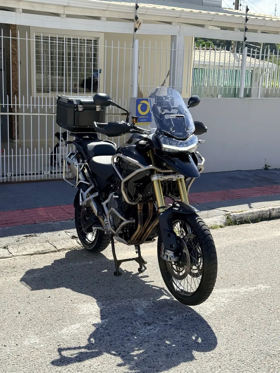 Tiger 1200 Rally B edition 2025 impecável  - Foto 3