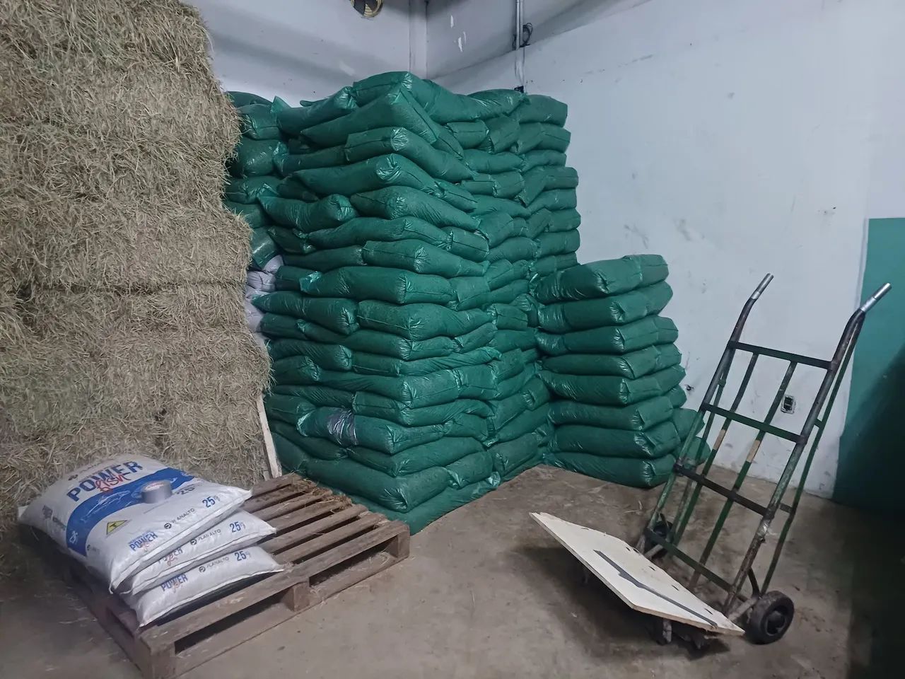 Silagem de Milho ensacada.. - Foto 5